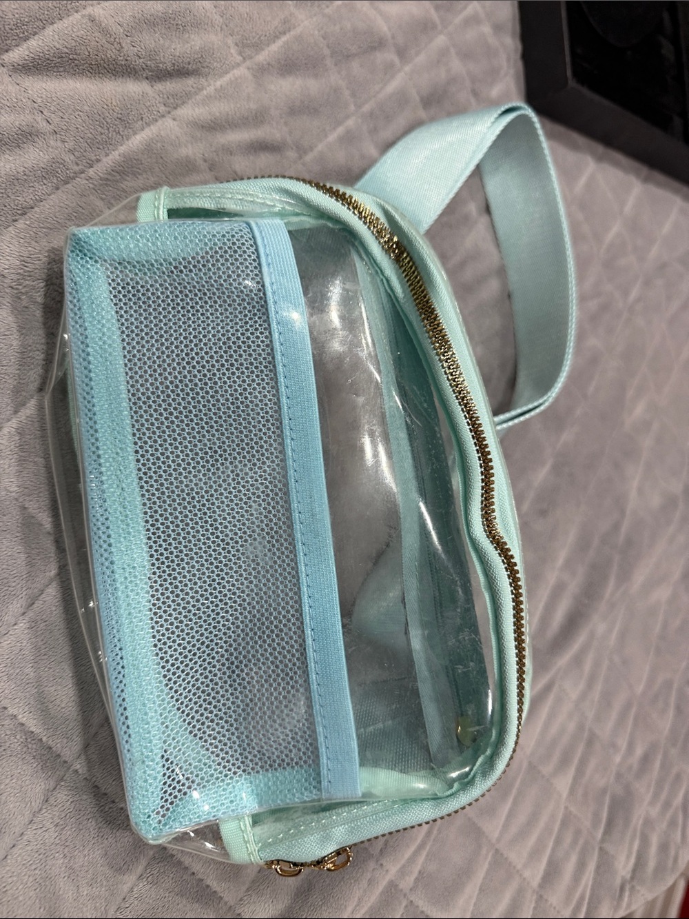 Clear Mint Travel Cosmetic Bag with Detachable Mesh Pouch